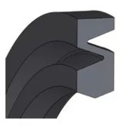 Pneumatic seals